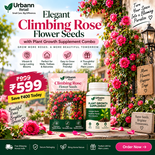 Beautiful Climbing Rose Seeds