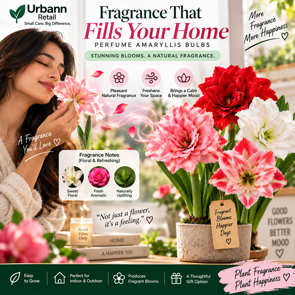 Perfume Amaryllis Bulbs