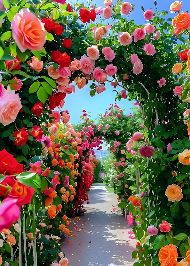 Beautiful Climbing Rose Seeds